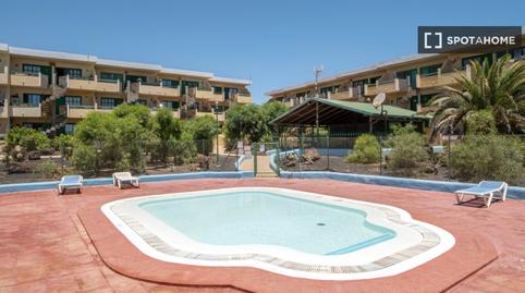 Foto 4 de Estudi per a compartir a Caleta de Fuste, Las Palmas