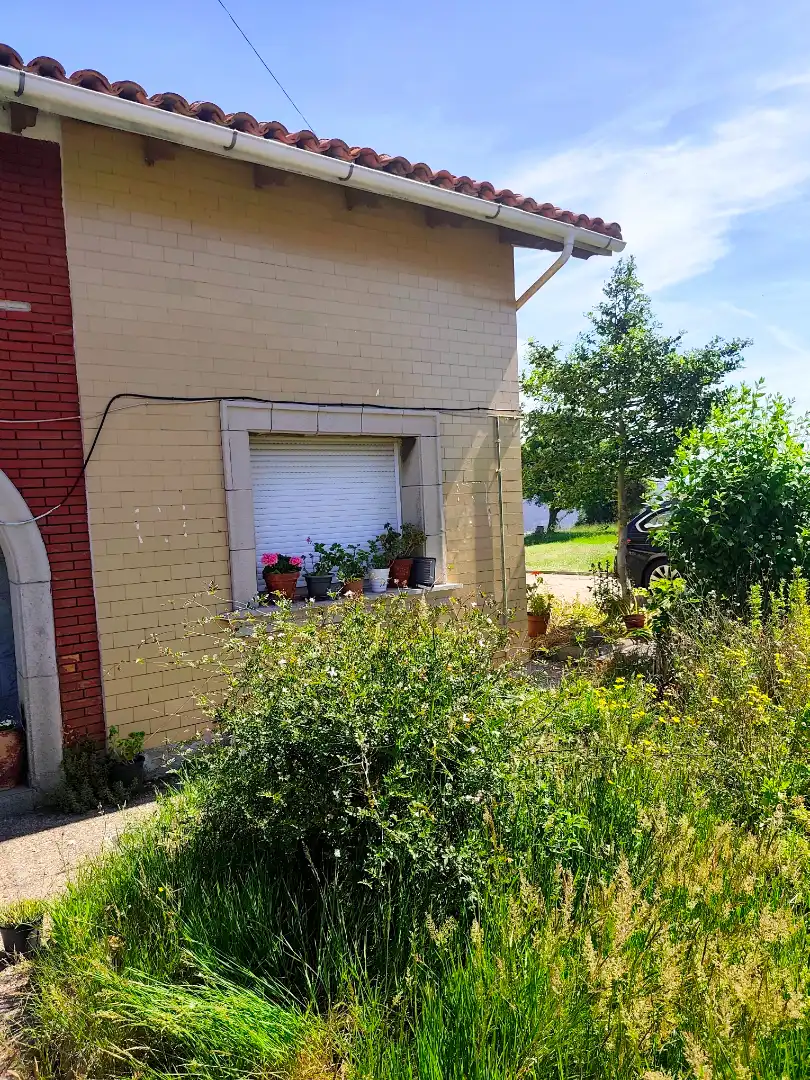 Vista exterior de Casa o chalet en venta en Avilés con Jardín privado y Terraza