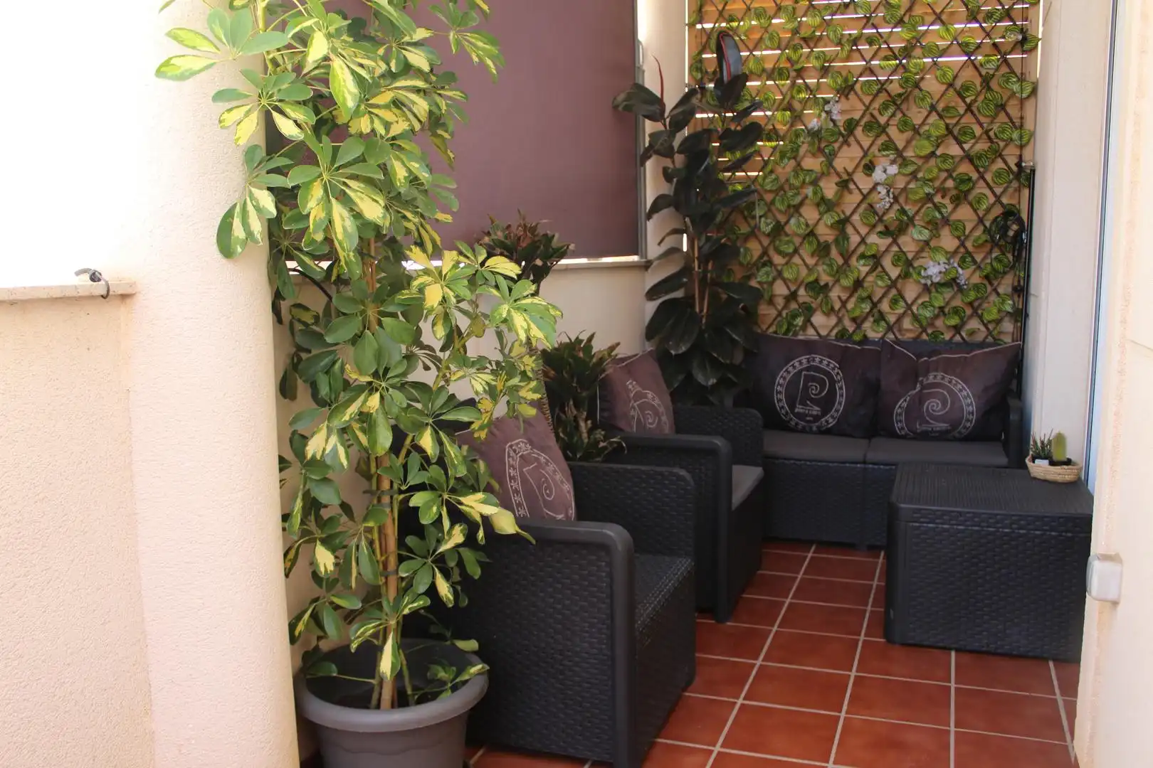 Terrace of Duplexes for sale in Roquetas de Mar  with Private garden, Terrace and Furnished