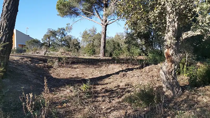 Wohnbaugrundstück zum Verkauf in Carrer Pas 37, imagen 4