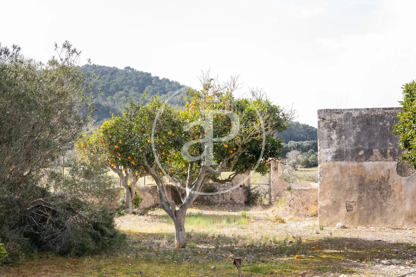 Finca rústica en venta en Archena con Calefacción, Jardín privado y Terraza