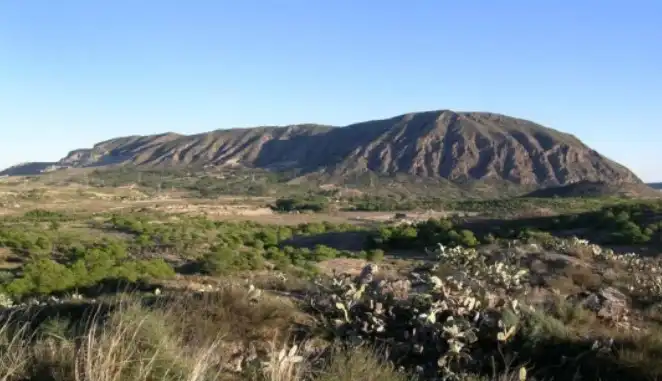 Land for sale in Camí de l'Alcoraia, 21, Cañada del Fenollar