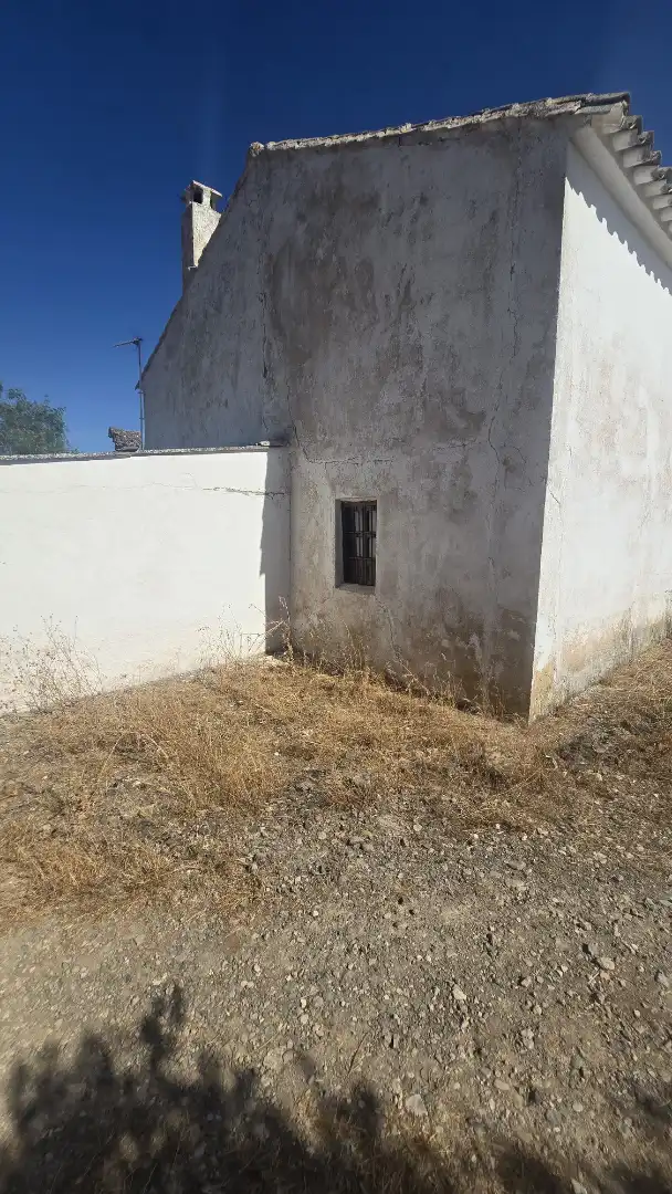 Terrain rustique à vendre à Las Vegas - Campoaras, imagen 6
