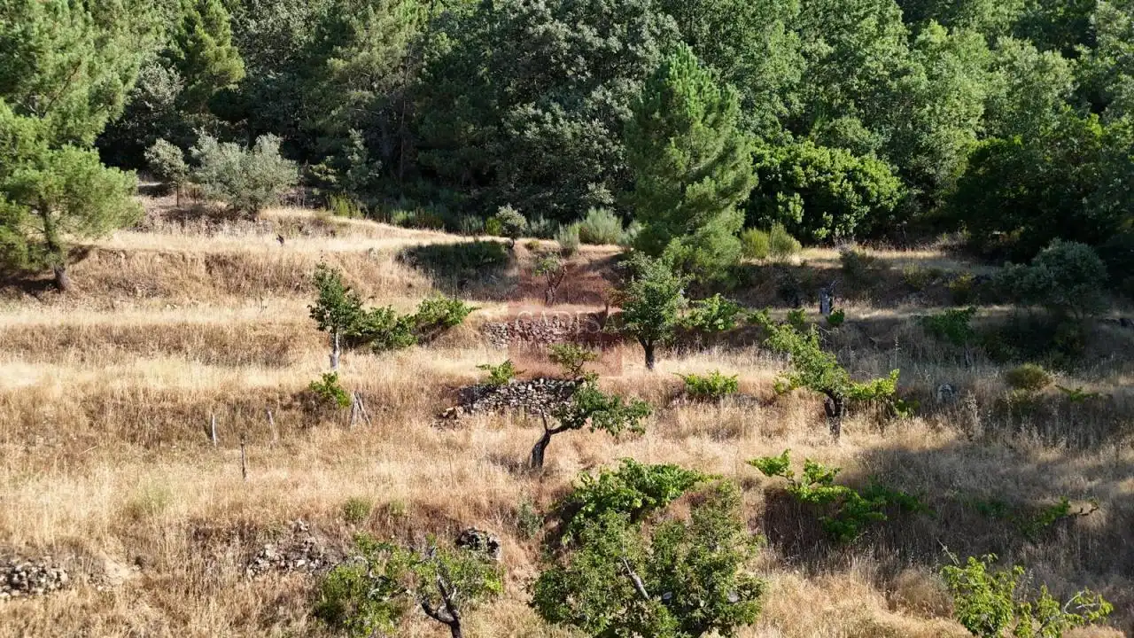 Grundstücke zum Verkauf in Garcibuey, Salamanca