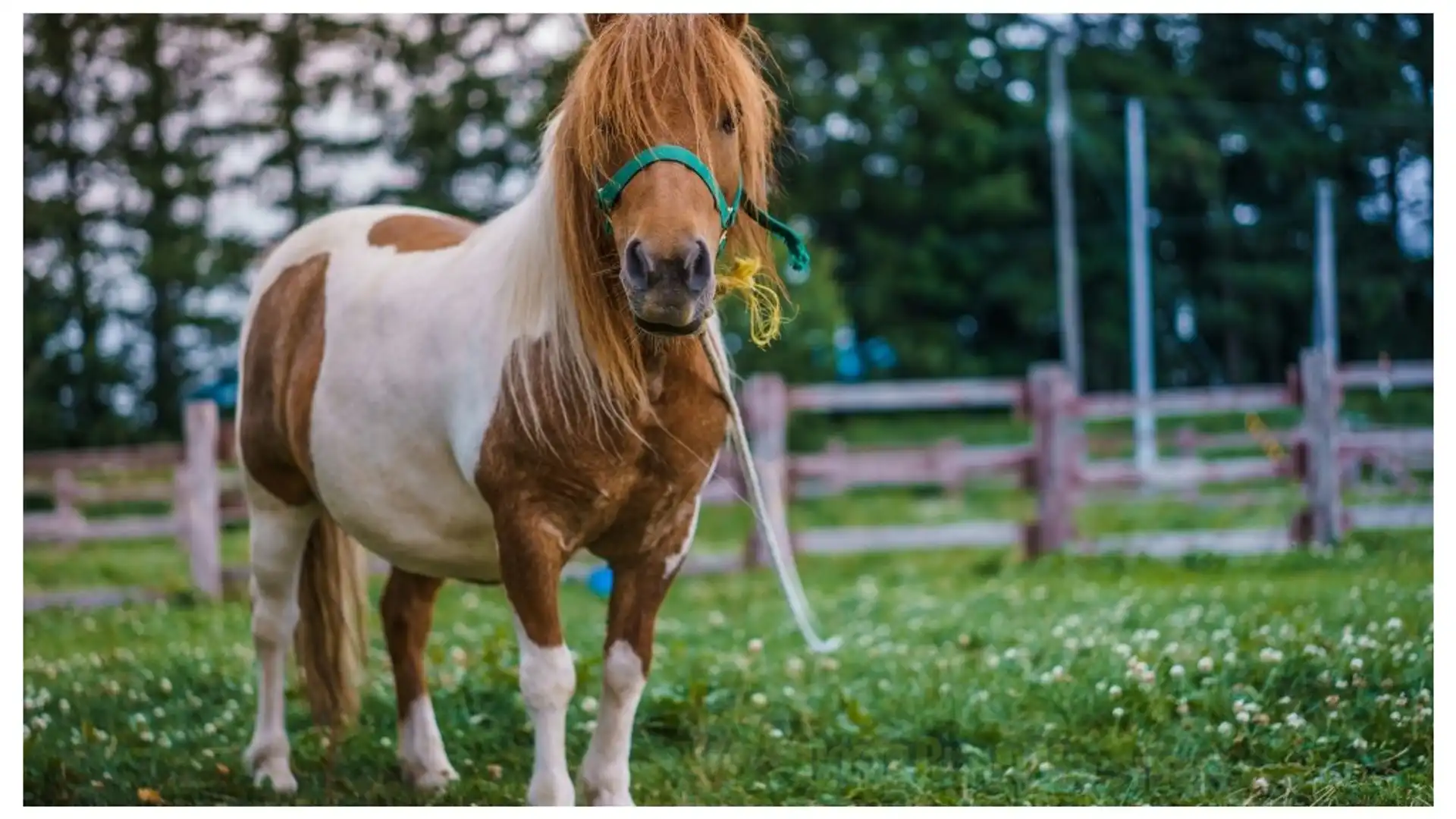 Vista exterior de Casa o xalet en venda en Sils