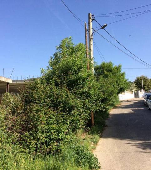 Foto 2 de Casa o xalet en venda a Tudó (del), 171, -1, Cànoves I Samalús, Barcelona