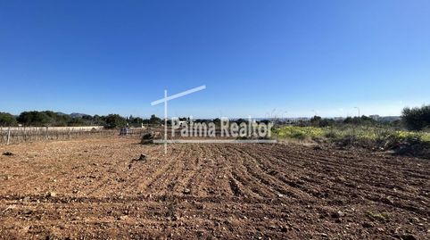 Photo 4 of Residential for sale in Son Servera Poble, Son Servera