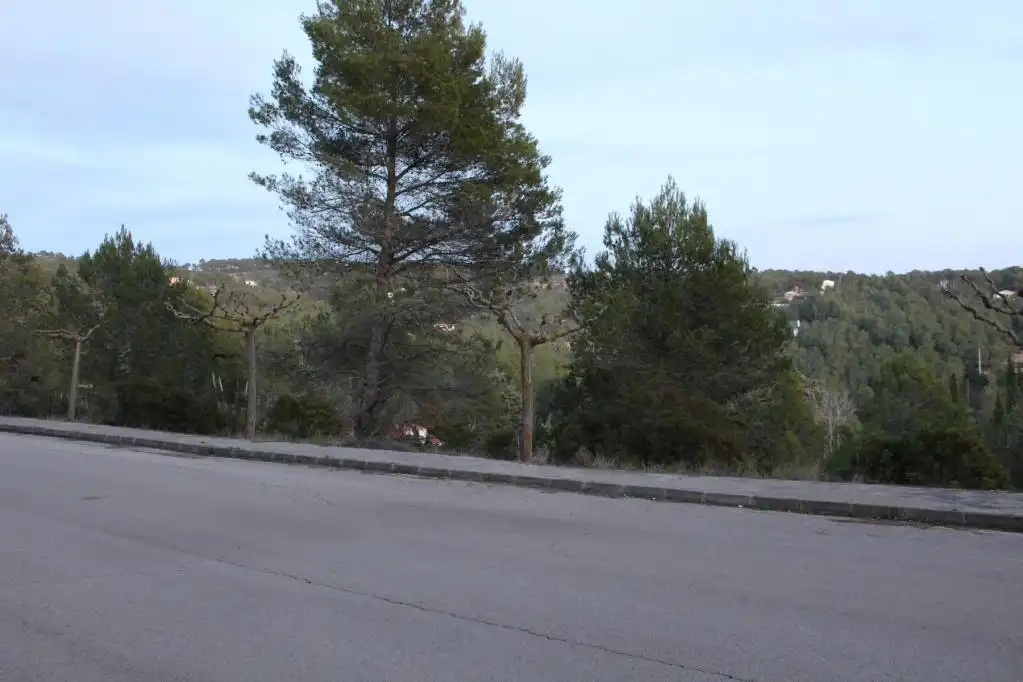 Terreny rústic en venda a ALDEA DE VALLFLOR, imagen 13