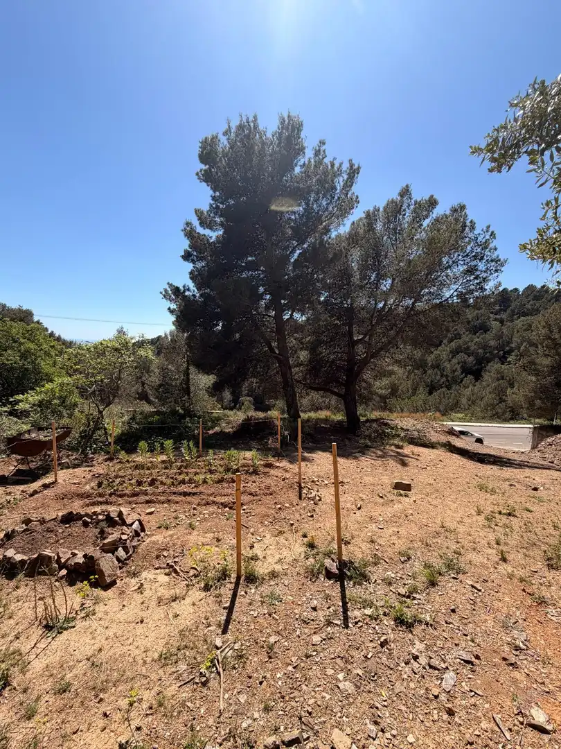 Terrenys i solars en venda a Almoster, imagen 6