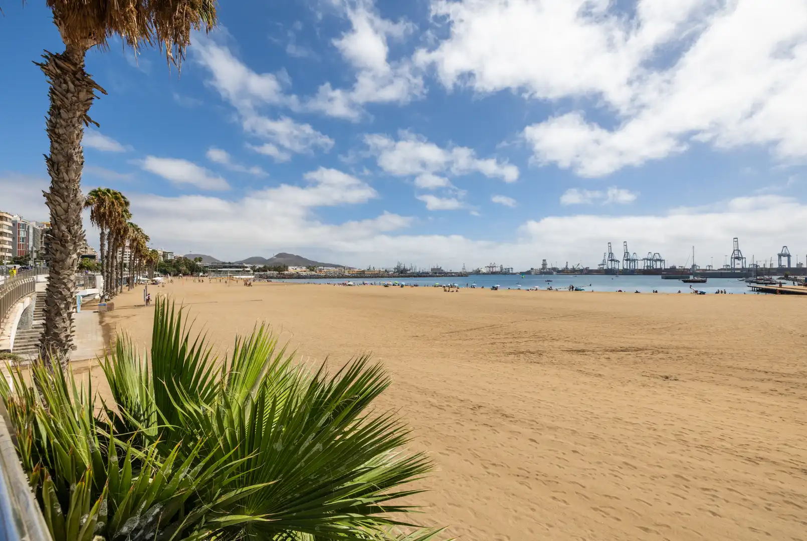 Vista exterior de Casa o xalet en venda en Las Palmas de Gran Canaria amb Aire condicionat, Jardí privat i Terrassa