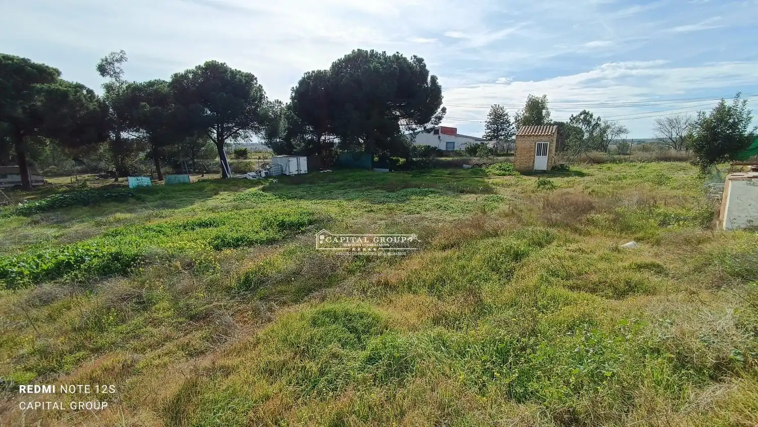 Terrenos y solares en venta en Gibraleón, imagen 21