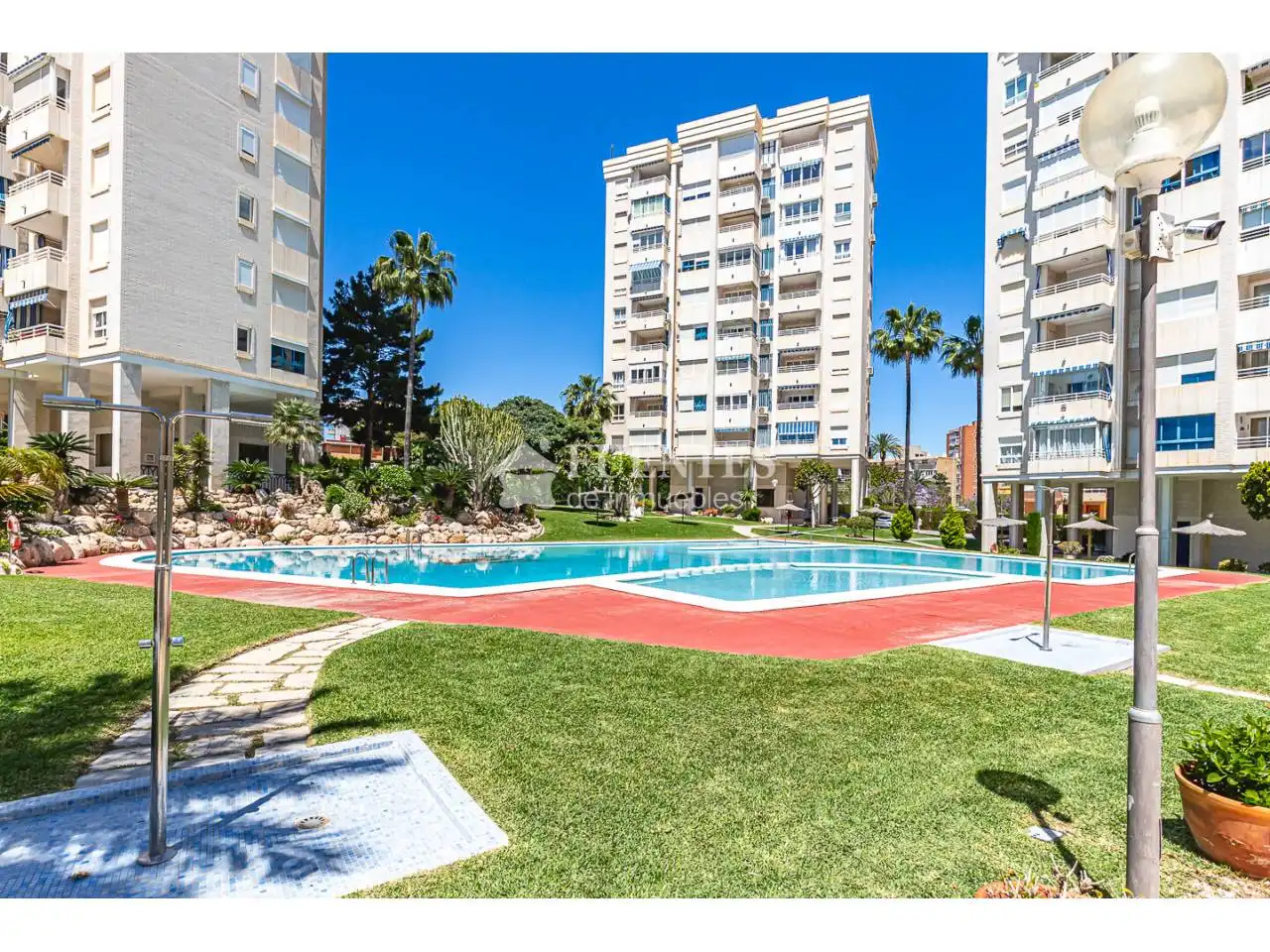 Swimming pool of Apartments for sale in Alicante / Alacant  with Air Conditioner, Storage room and Community pool