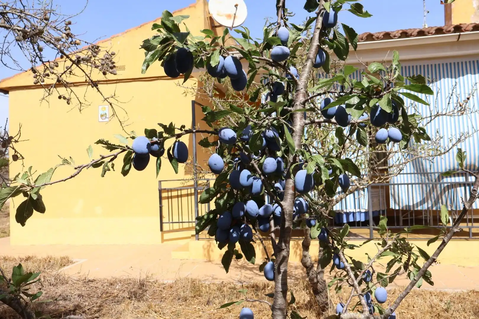 Casa rústica en venda a Vall d'Alba, imagen 30