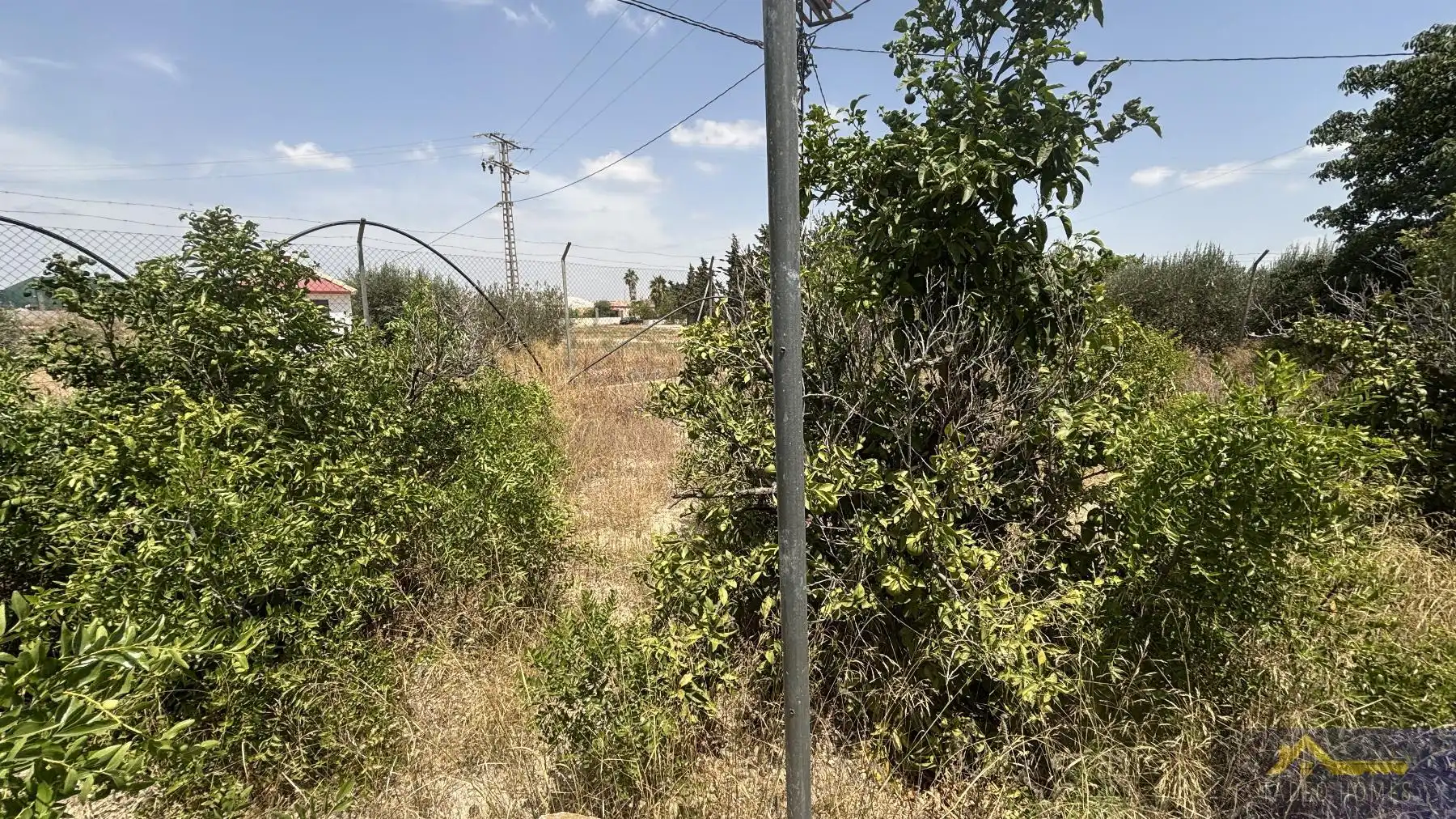 Finca rústica en venda a Paraje Ruices , Los Martinez del Puerto