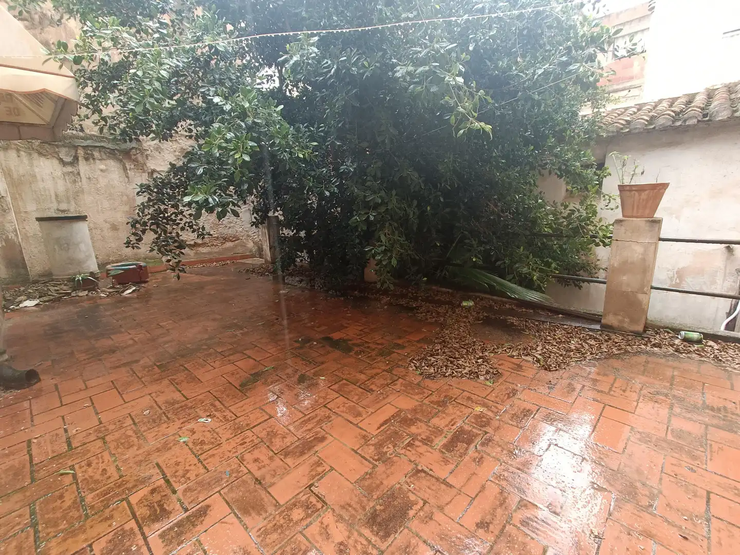 Jardín de Casa o chalet en venta en Castellón de la Plana / Castelló de la Plana con Terraza