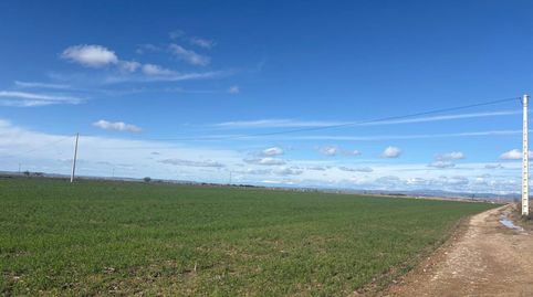 Foto 2 de Terreno en venta en Almacelles, Lleida