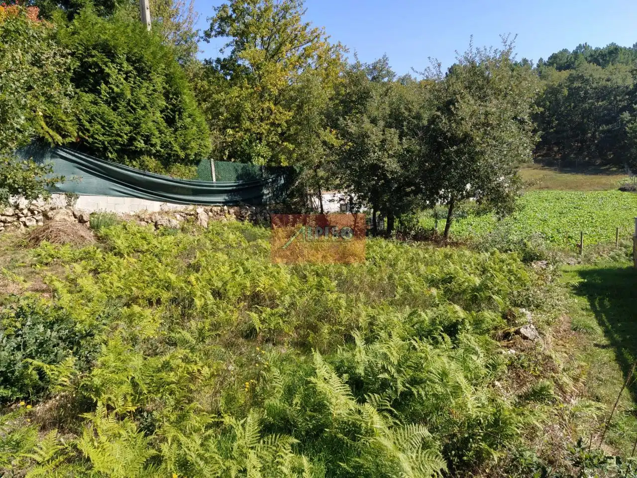 Terreni e lotti in vendita a O Pereiro de Aguiar, imagen 2