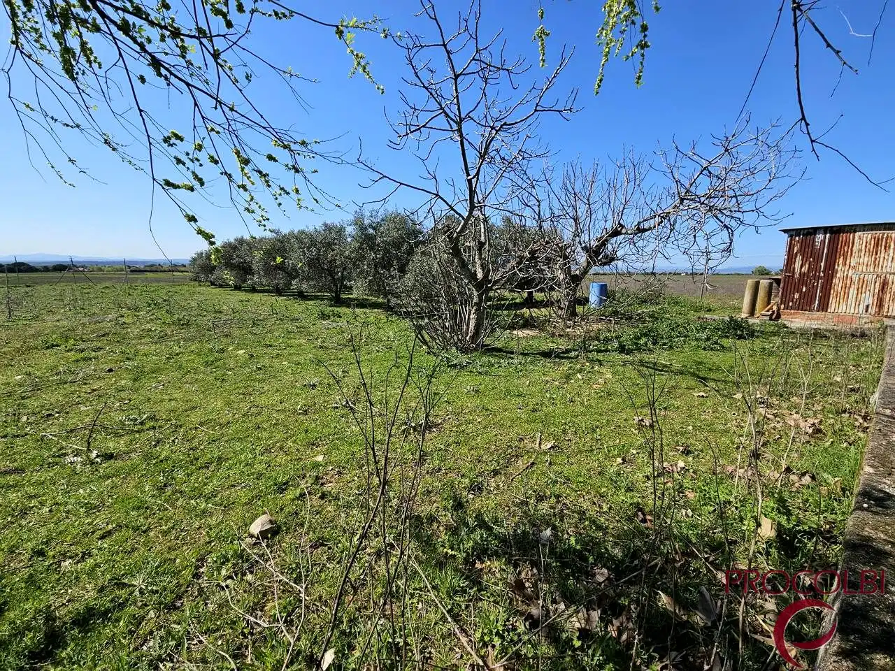 Terreno en venta en Valdeolmos-Alalpardo
