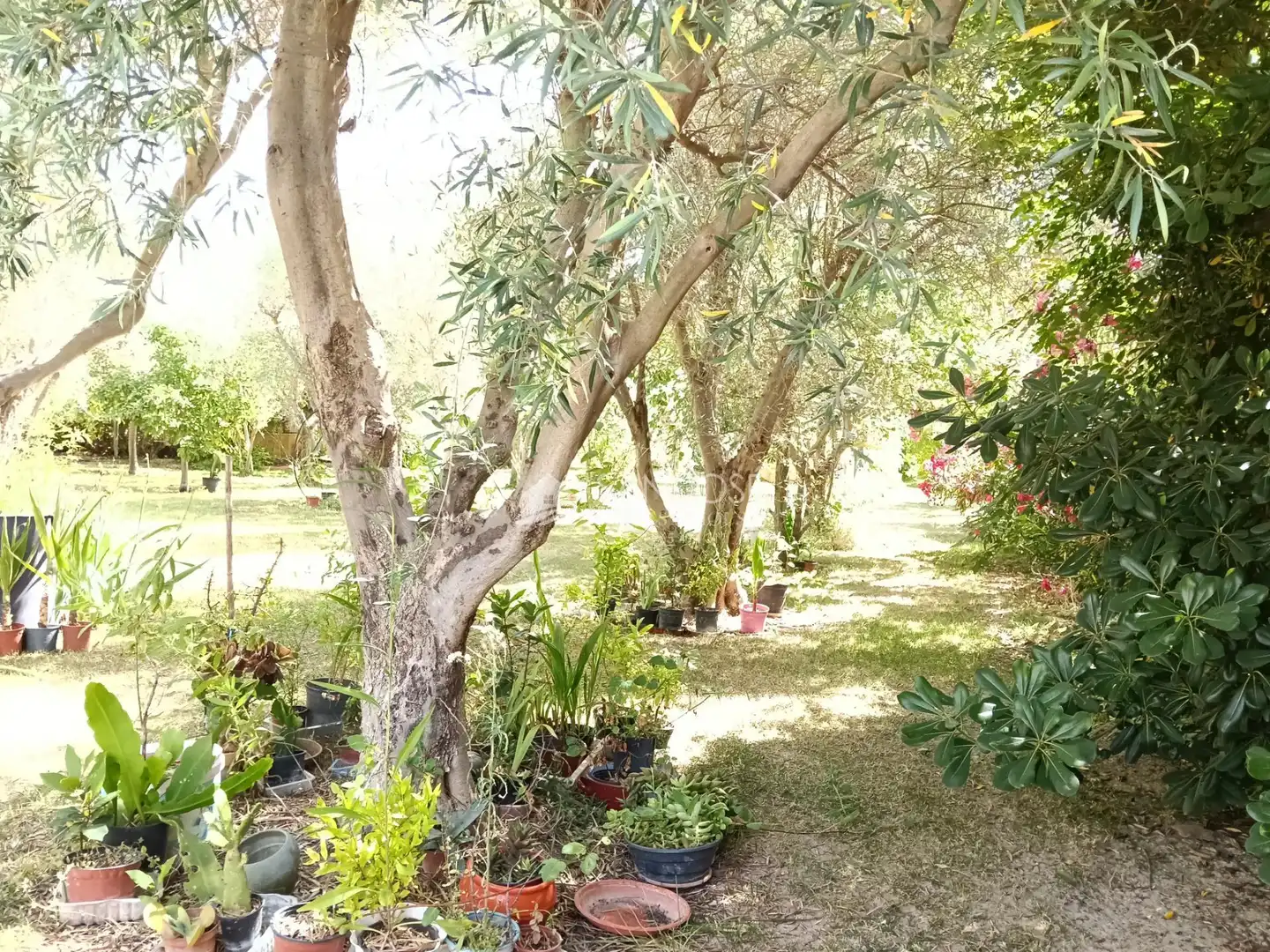 Villa mit Pool zum Verkauf in La Romana, imagen 30