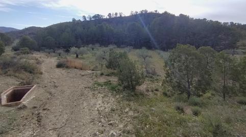 Foto 5 de Finca rústica en venta en Relleu, Alicante