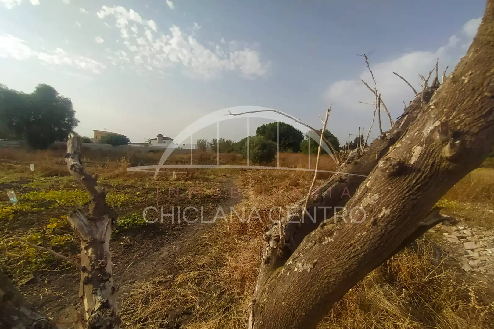 Terrenys i solars en venda a Las Lagunas - Campano, imagen 7