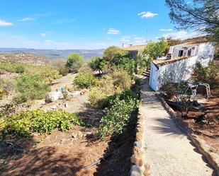 Vista exterior de Finca rústica en venda en El Campillo (Huelva) amb Aire condicionat, Jardí privat i Terrassa