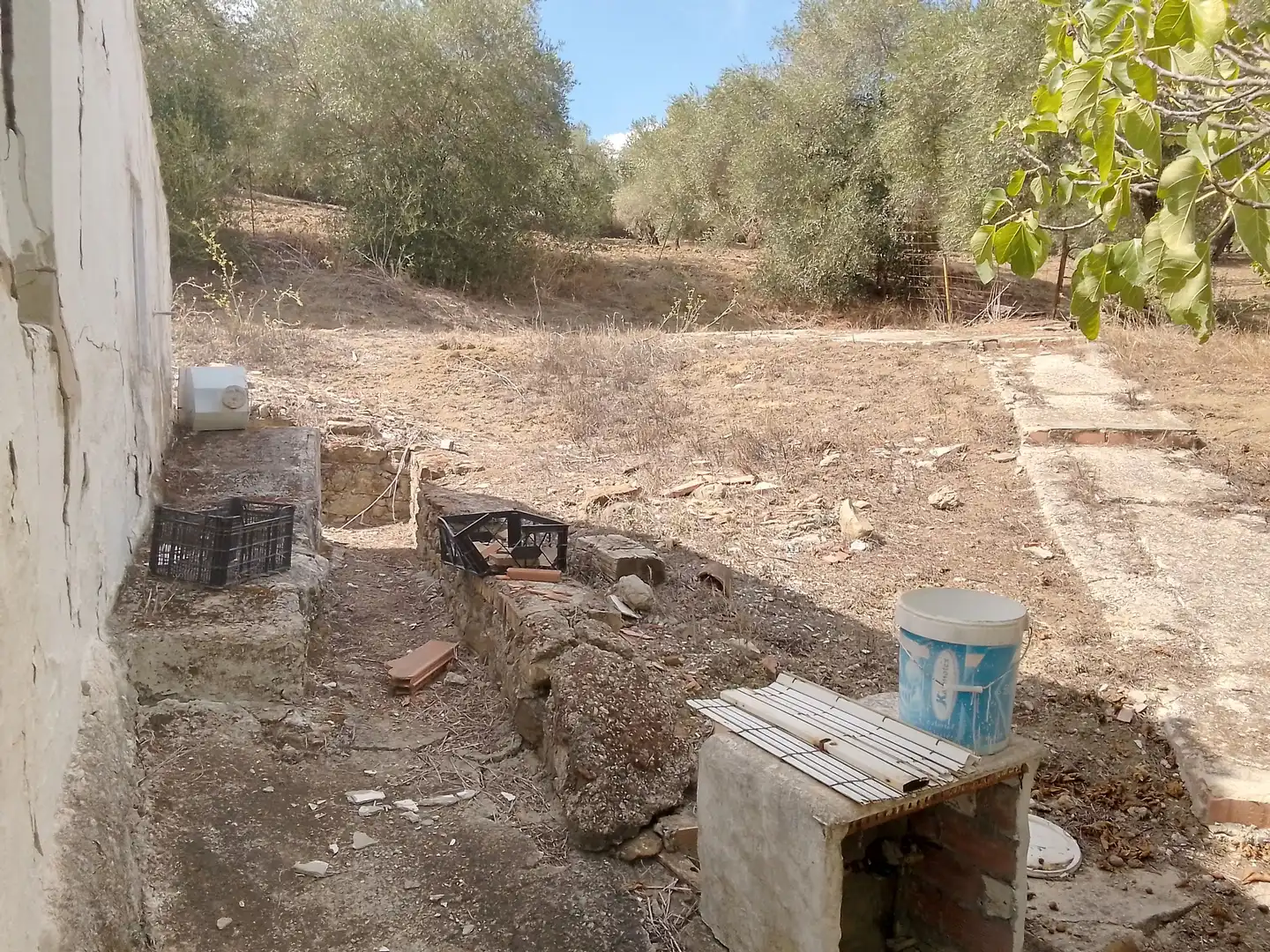 Terrain rustique à vendre à Cortes de la Frontera, imagen 15