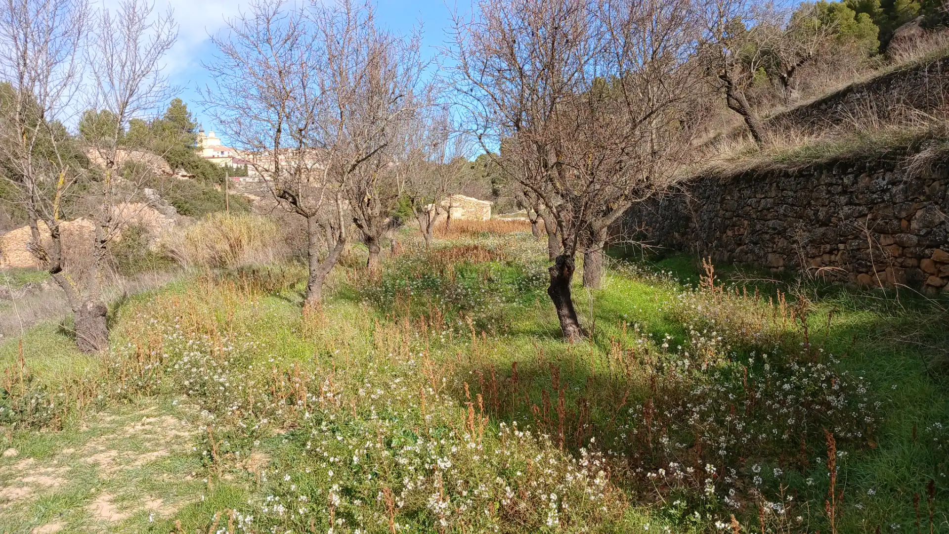 Terreni e lotti in vendita a Camino Fuente 5, imagen 10