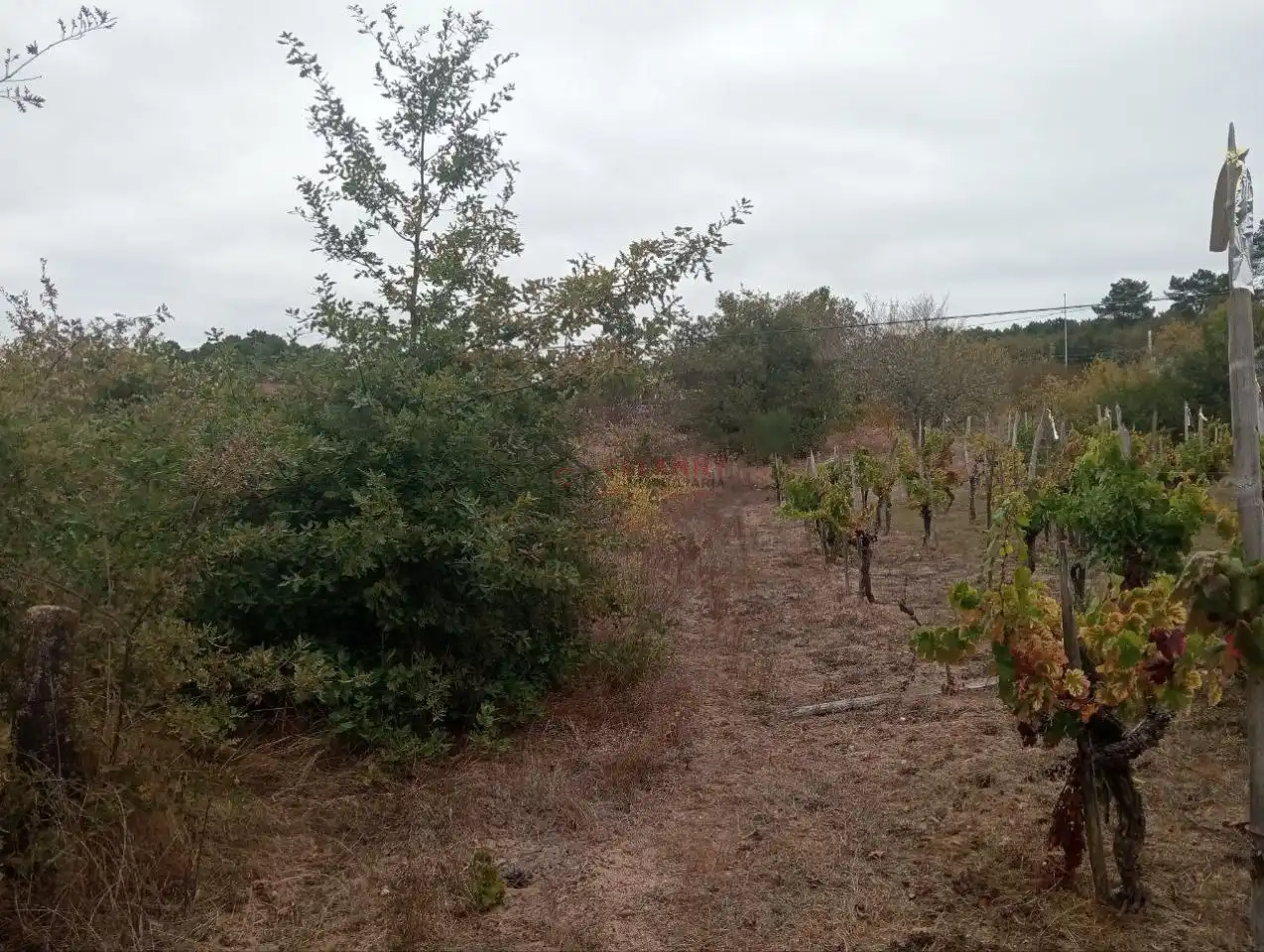 Residencial en venda en San Cibrao das Viñas