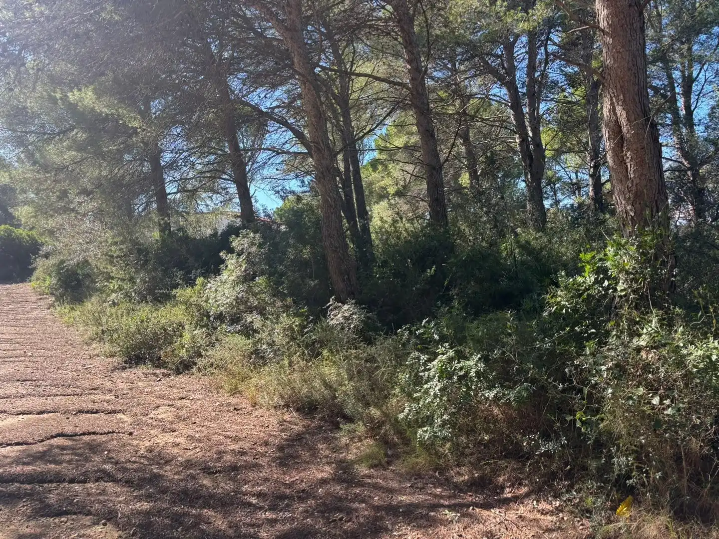 Residencial en venta en L'Ametlla de Mar 