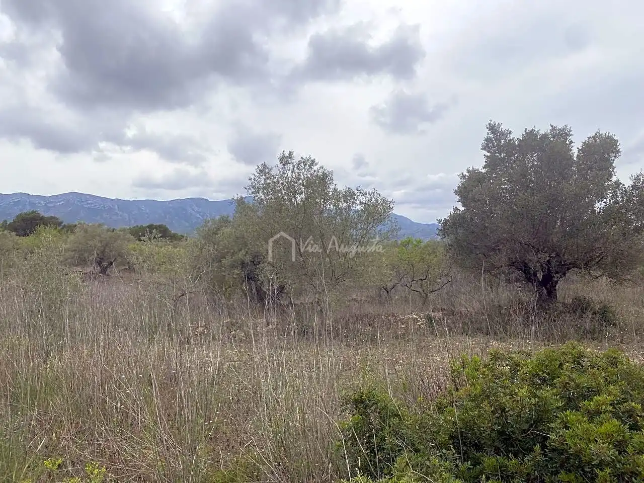 Terreno rustico in vendita a Burga, imagen 22