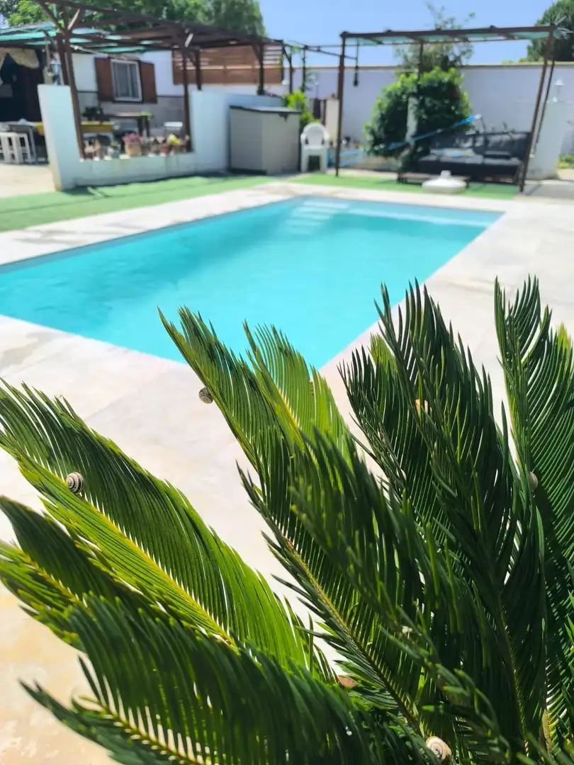 Piscina de Finca rústica en venda en Puerto Real amb Jardí privat i Piscina