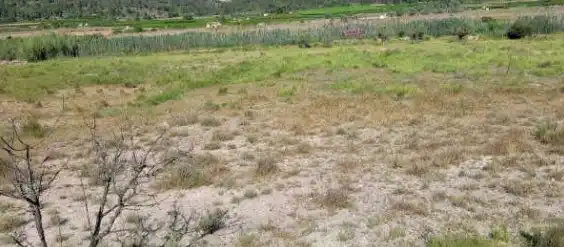 Land for sale in Real