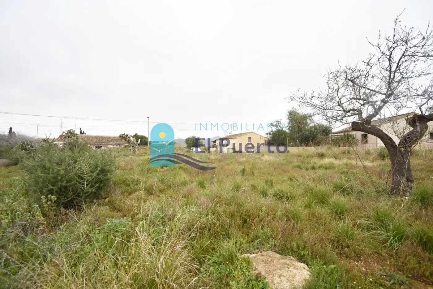 Rural land for sale in Pedanías Oeste, imagen 5