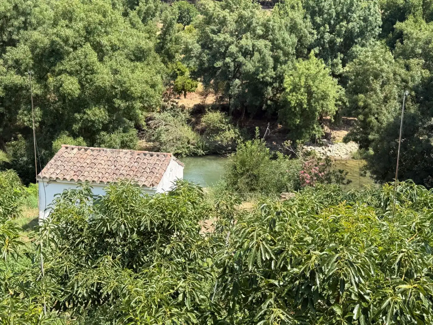 Vista exterior de Finca rústica en venda en Gaucín amb Jardí privat, Terrassa i Piscina