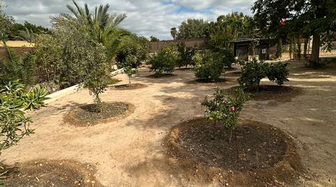 Foto 4 de Finca rústica en venda a Partida del Boch, 69, Crevillent, Alicante