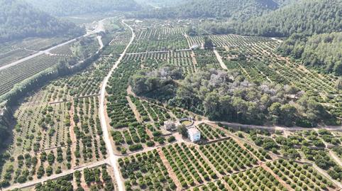 Foto 4 de Finca rústica en venda a Urbanitzacions i Pedanies Sud, Alzira
