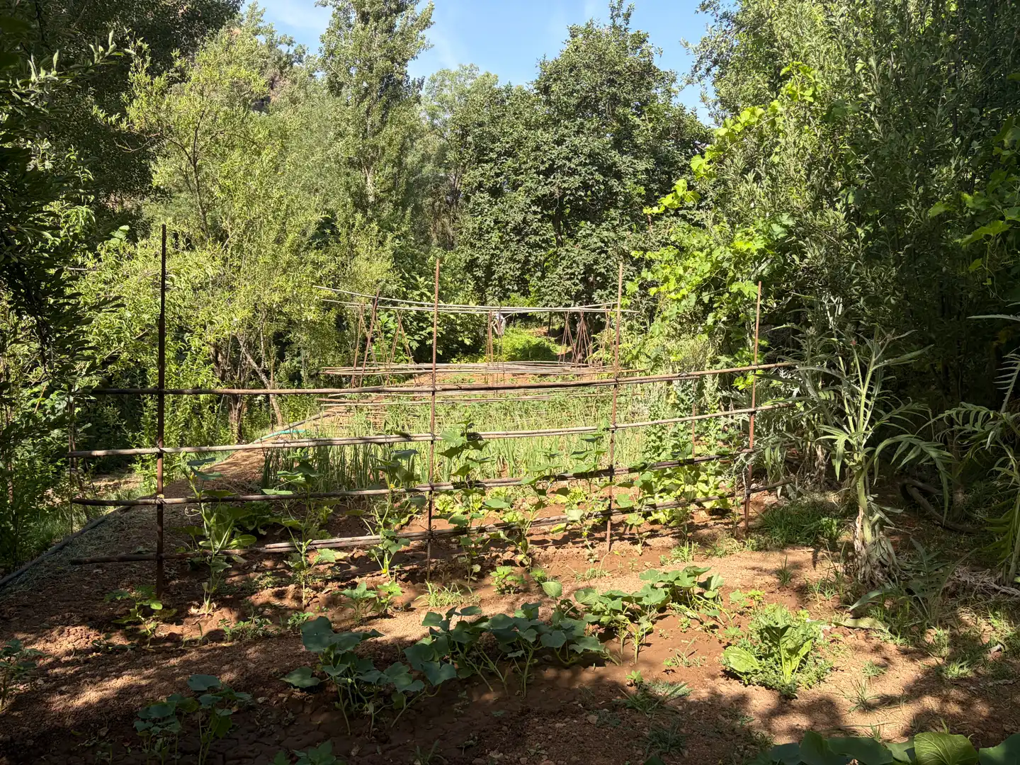 Garden of Houses for sale in Villacarrillo  with Private garden and Terrace