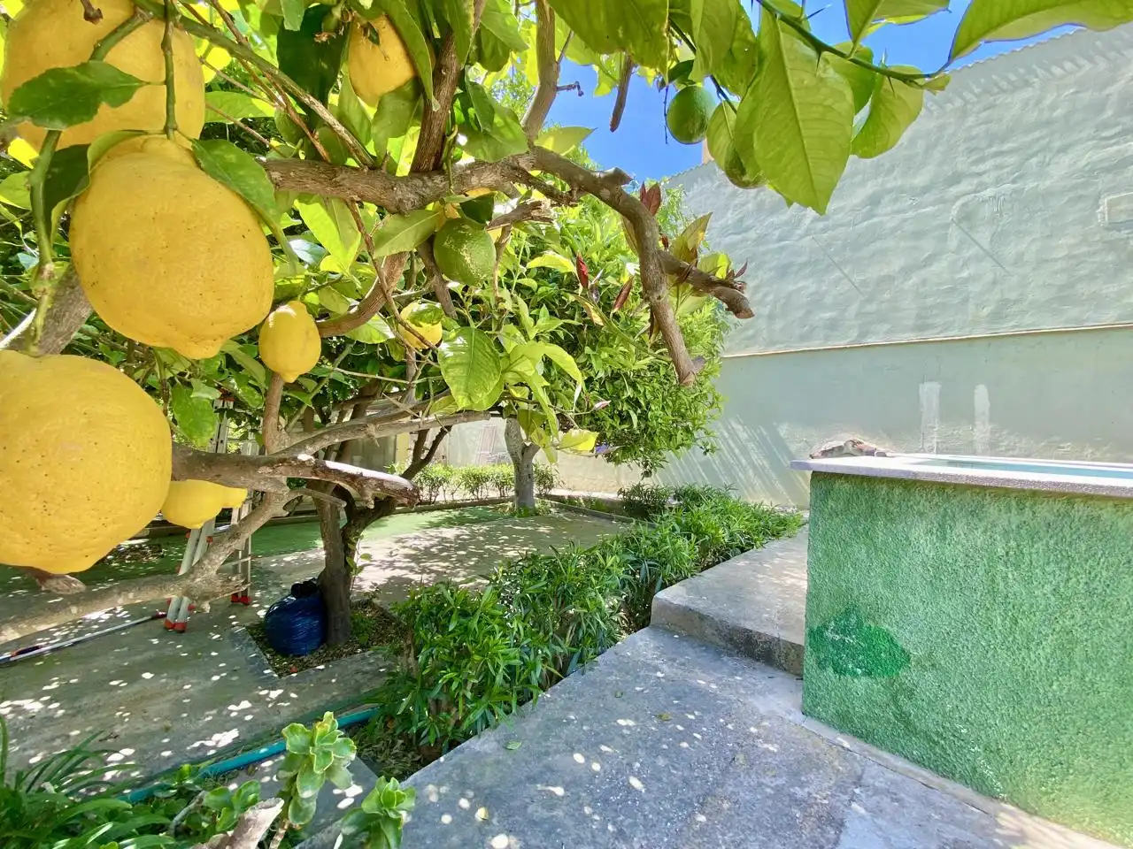 Garten von Haus oder Chalet zum Verkauf in  Palma de Mallorca mit Privatgarten, Terrasse und Abstellraum