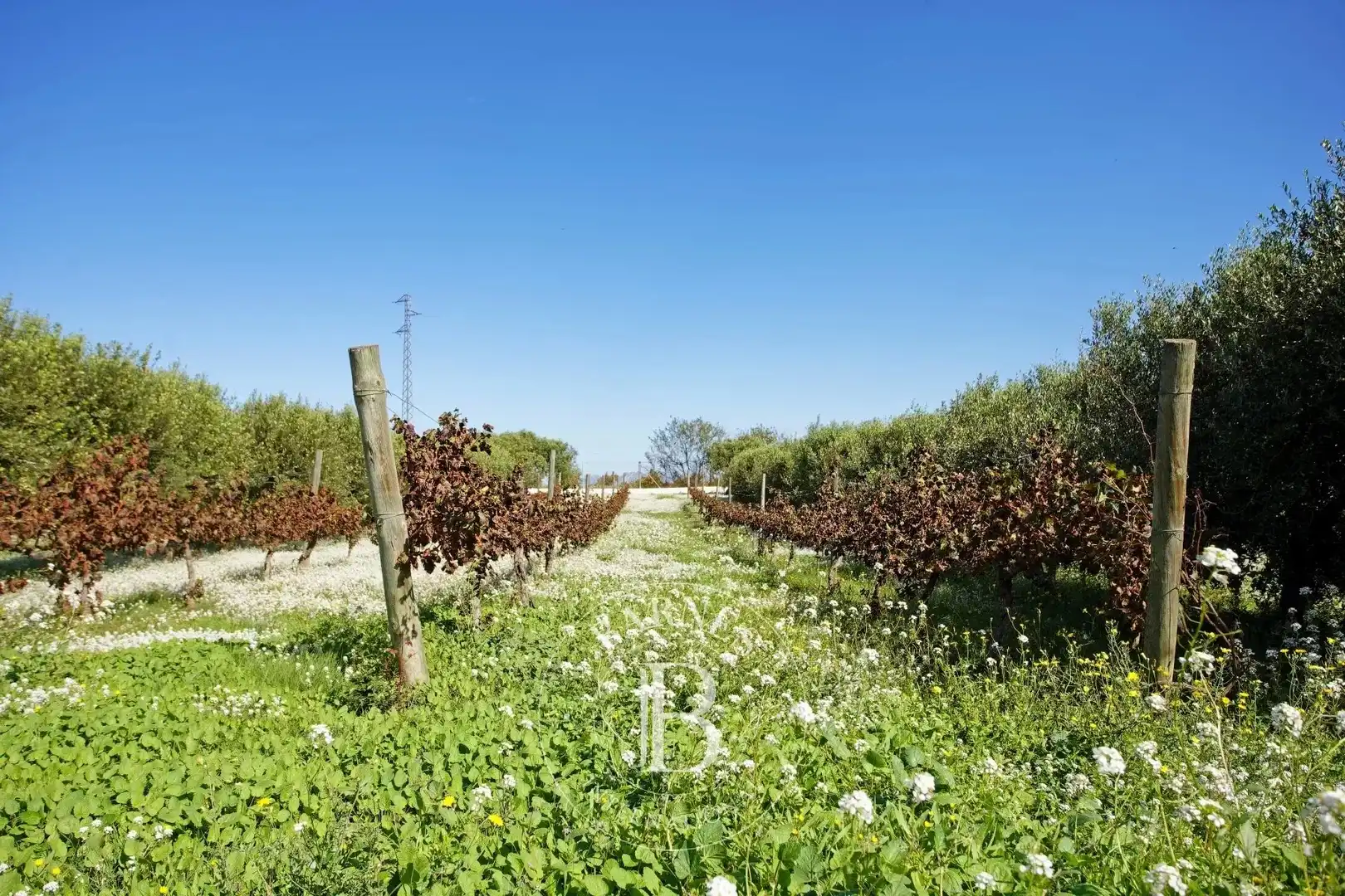 Houses for sale in Vilobí del Penedès  with Air Conditioner, Heating and Swimming Pool