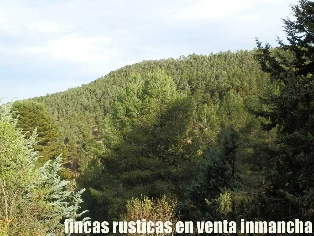 Rural land for sale in Requena, imagen 5