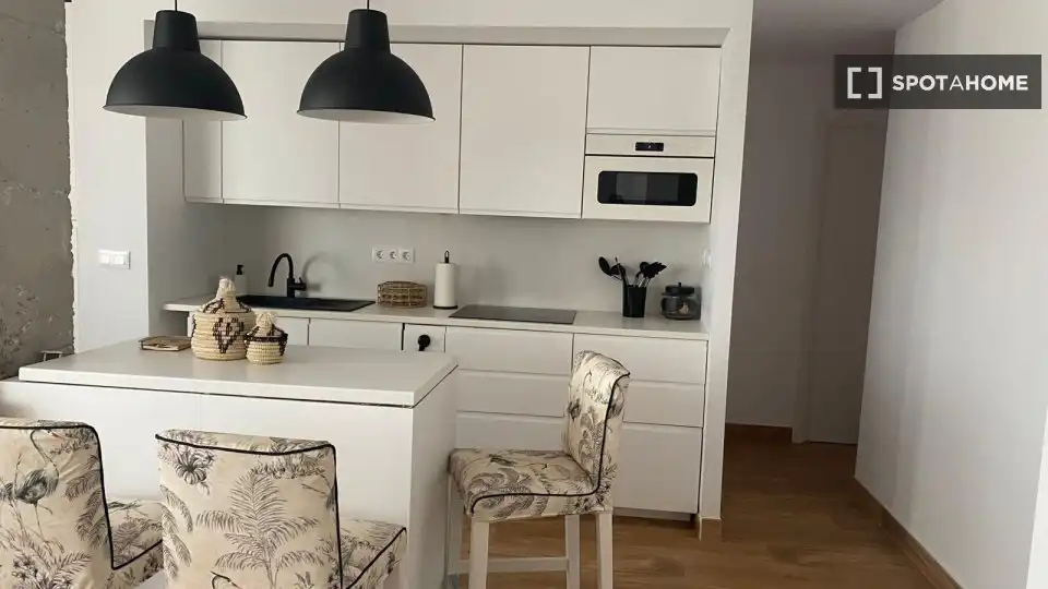 Cuina de Apartament per a compartir en Alicante / Alacant amb Aire condicionat, Terrassa i Moblat