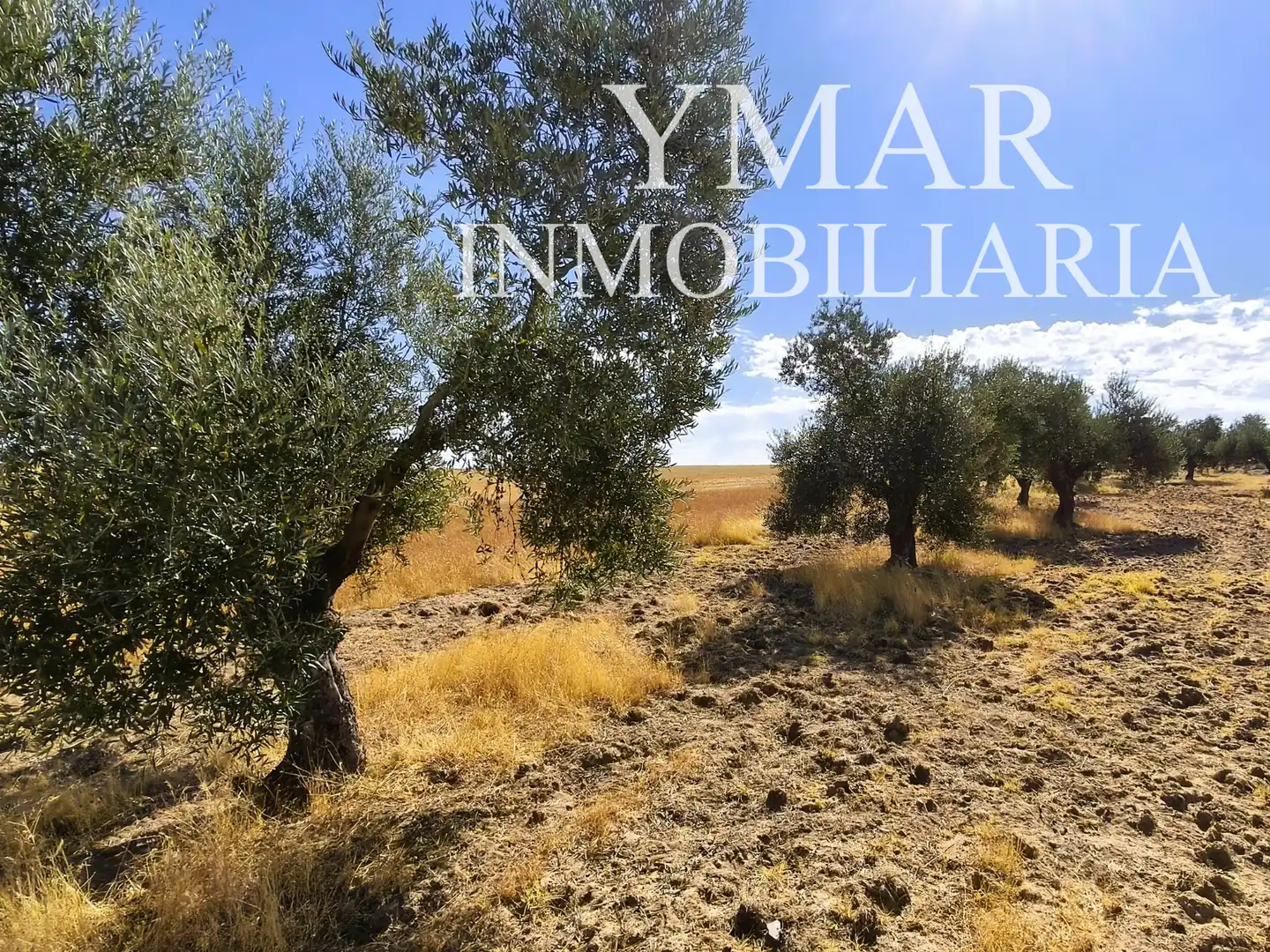 Land for sale in Santo Domingo-Caudilla