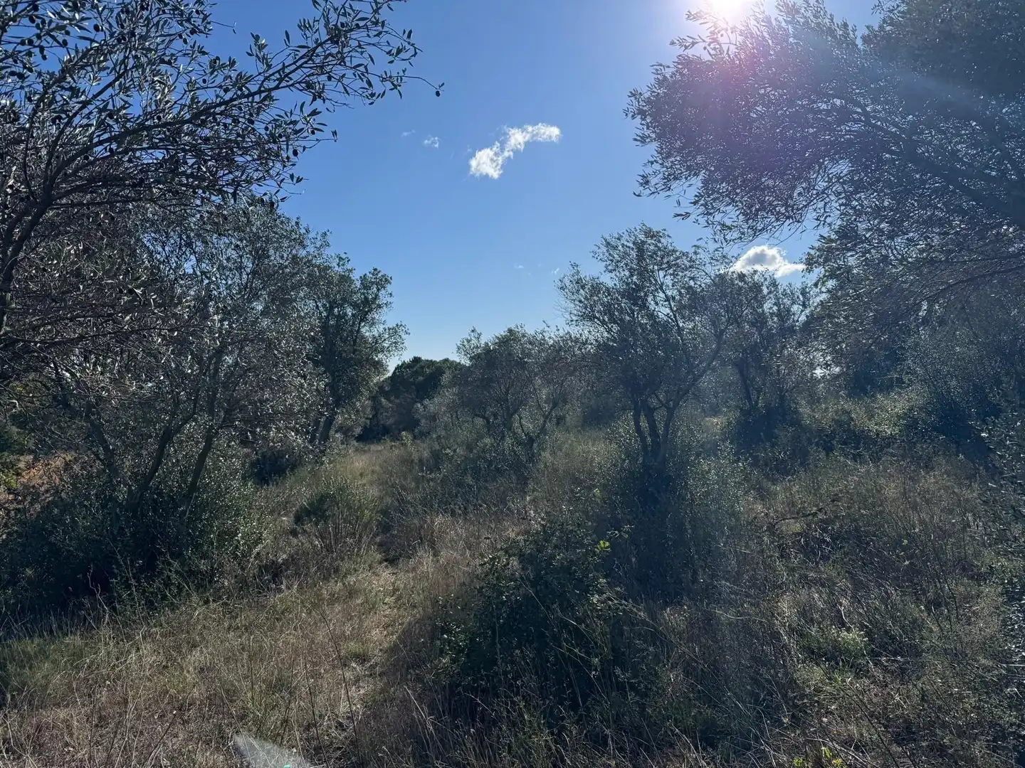 Rural land for sale in Rabós, imagen 10