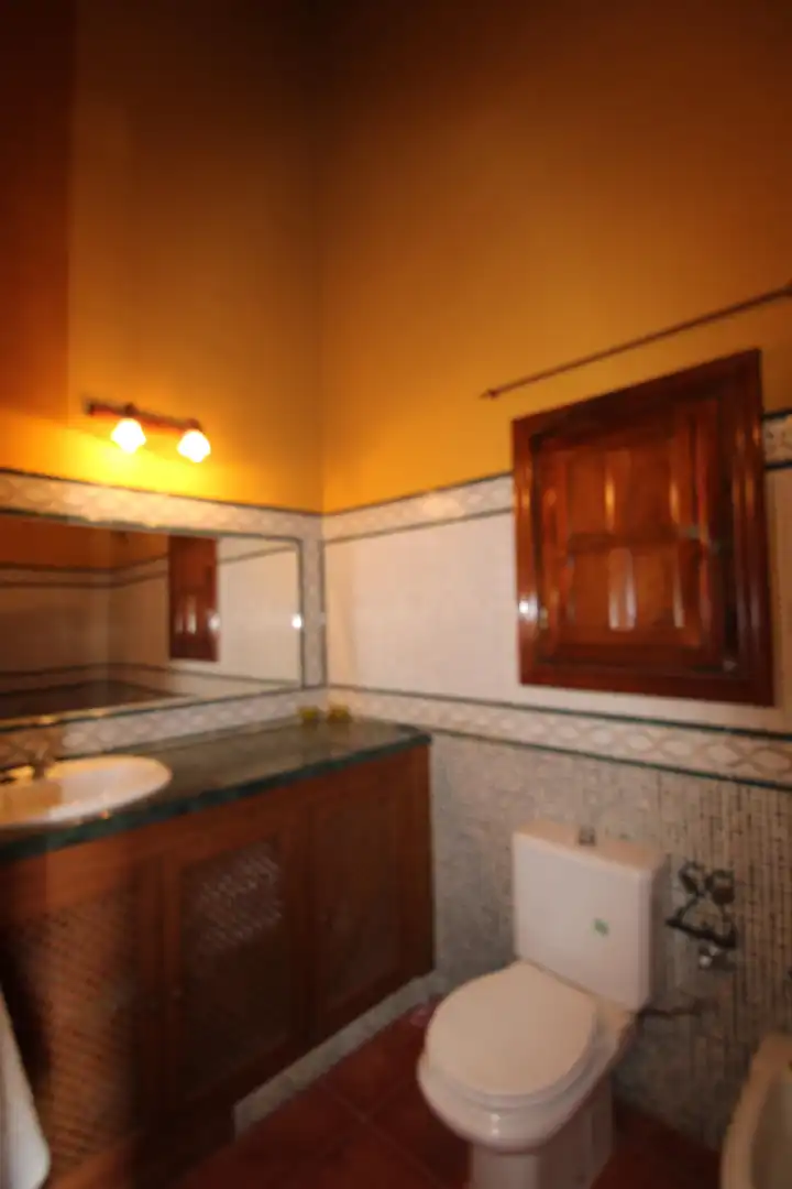 Casa rústica en venda a Álora, imagen 15