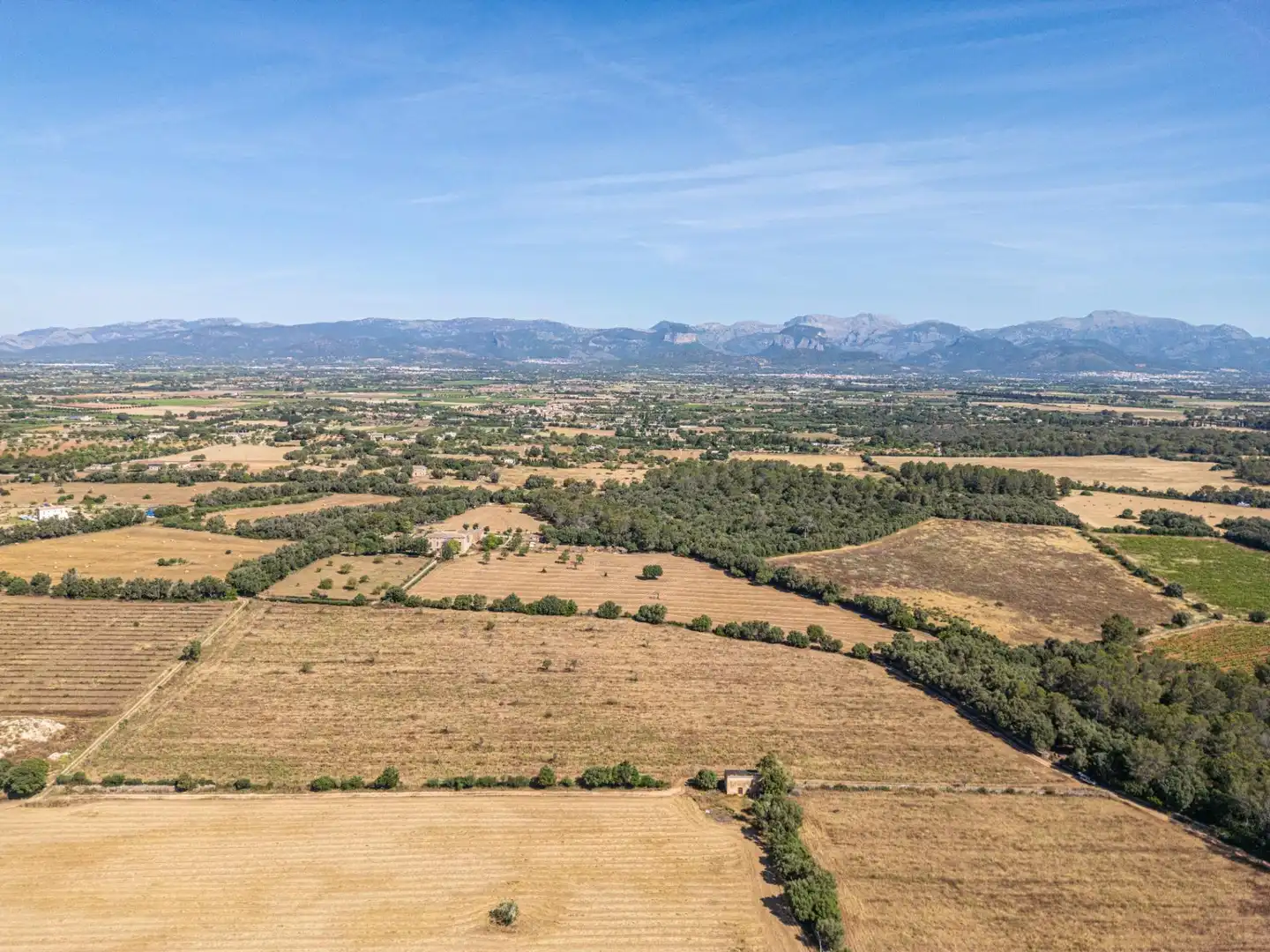 Rural land for sale in Sencelles, imagen 15