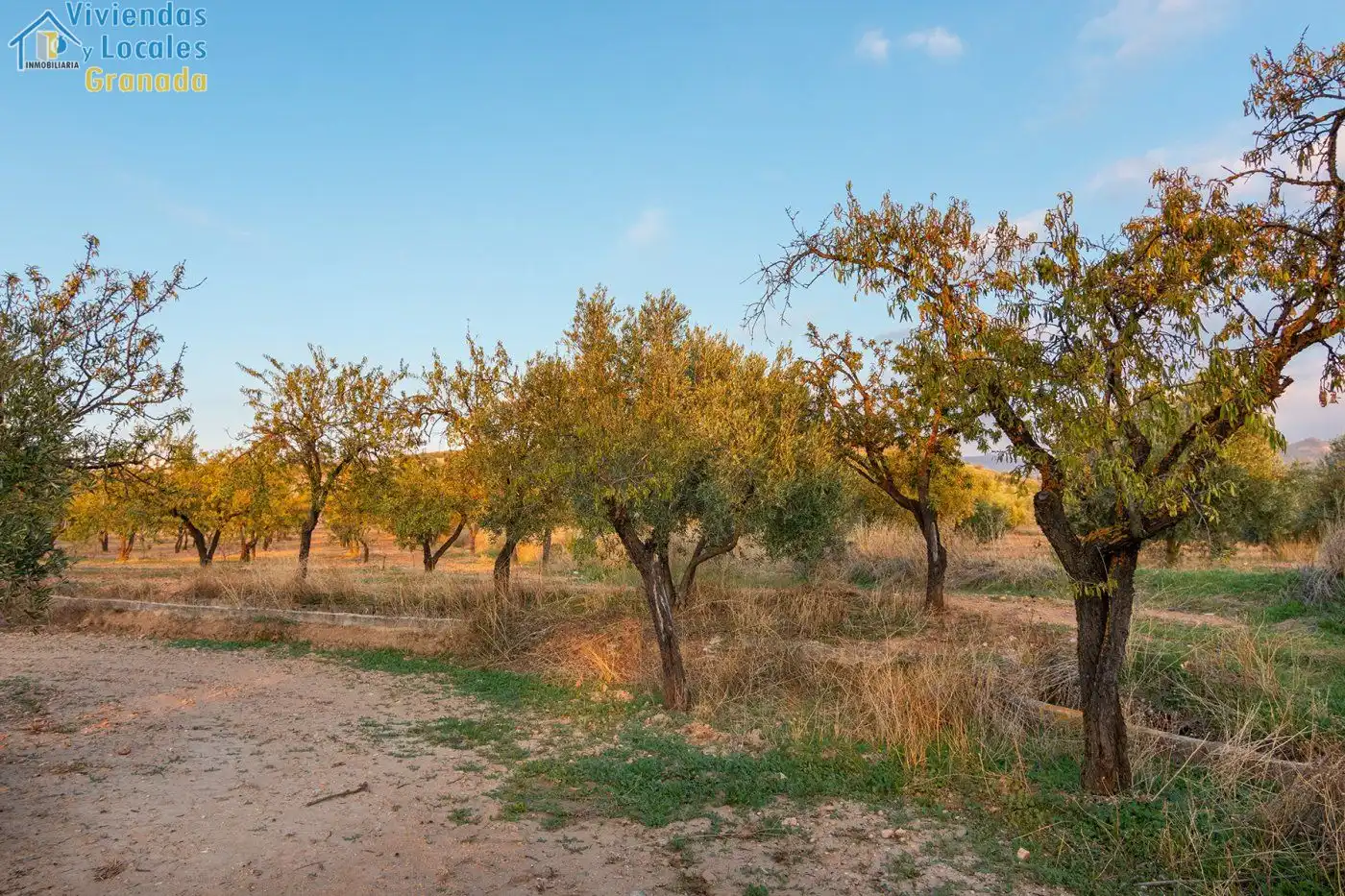 Rustikales Grundstück zum Verkauf in Camino de la zapatera, imagen 5