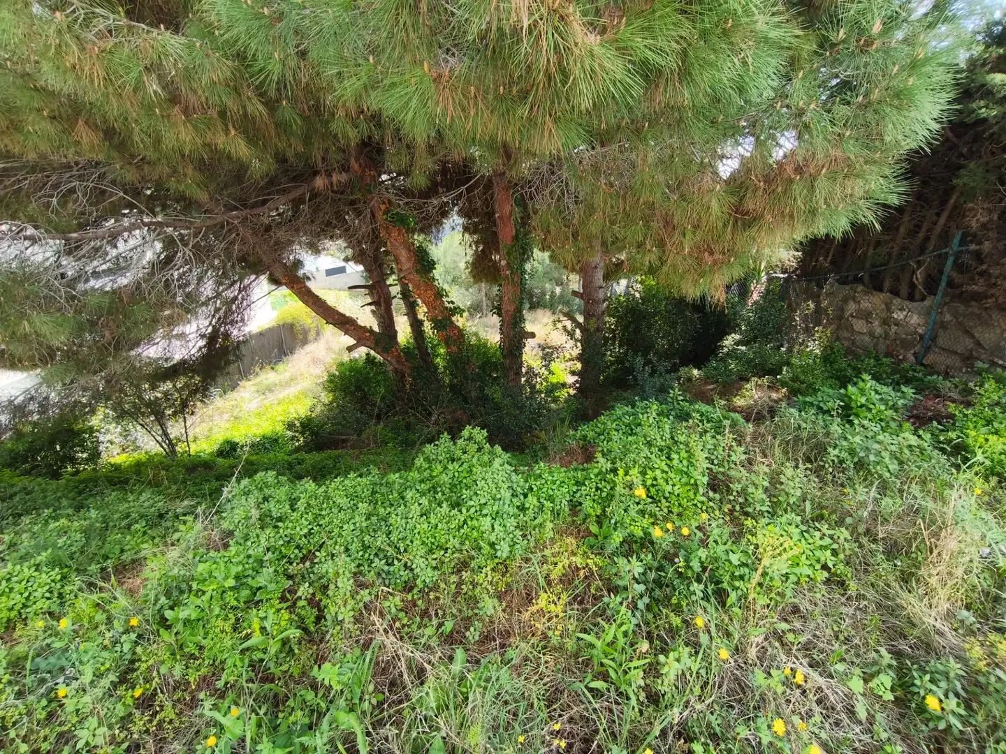 Terrain rustique à vendre à Carrer de Narcís Monturiol, imagen 7