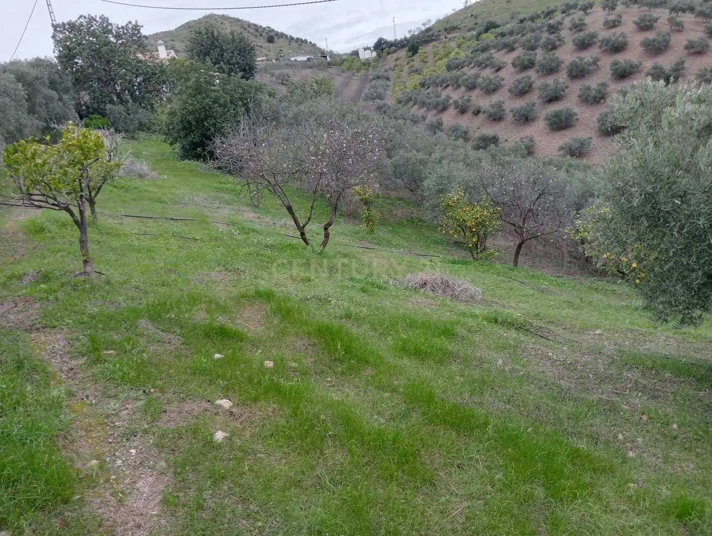 Casa o xalet en venda en Cártama amb Jardí privat, Traster i Piscina