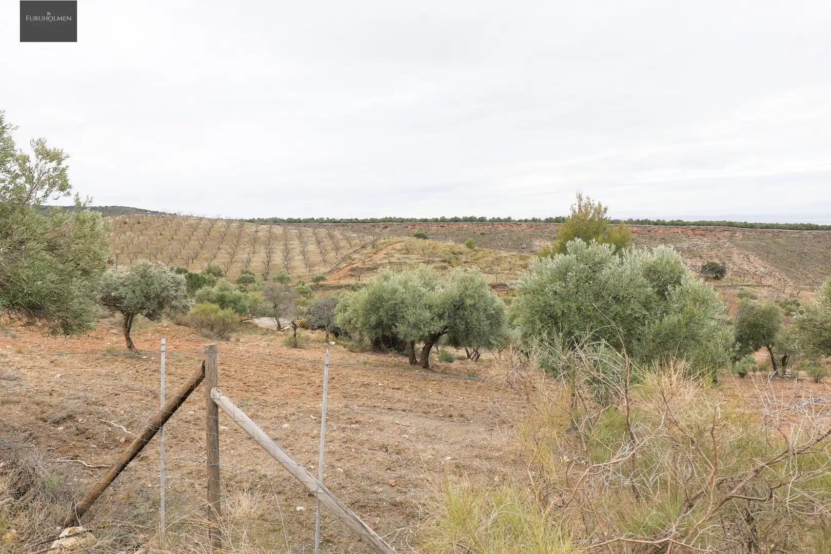 Terreno rustico in vendita a EXTRARRADIO, imagen 19